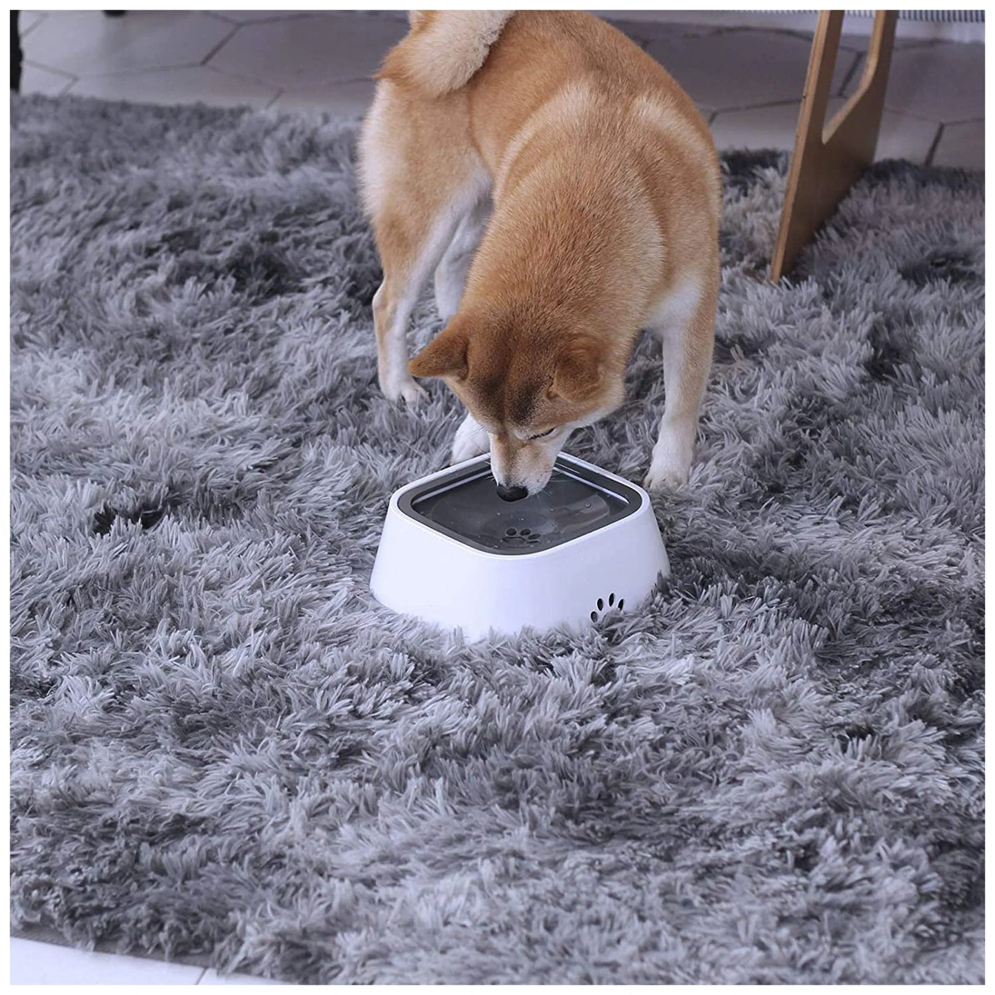 No-Spill Pet Water Bowl